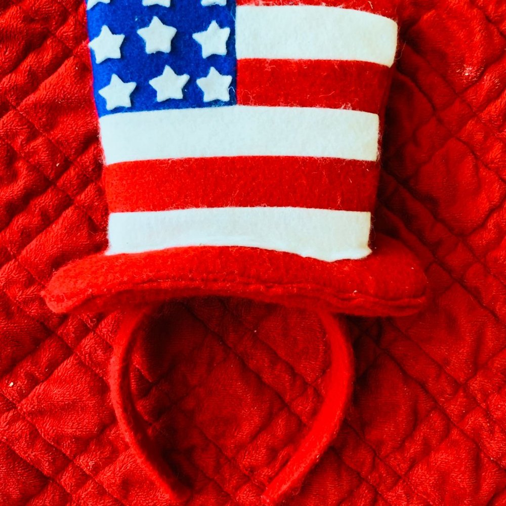 CHASING FIREFLIES PATRIOTIC TUTU, TIARA, T… - Picture 4 of 5